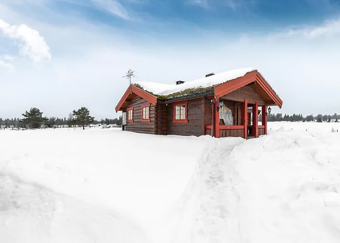 Oynebraten Stol, Golsfjellet